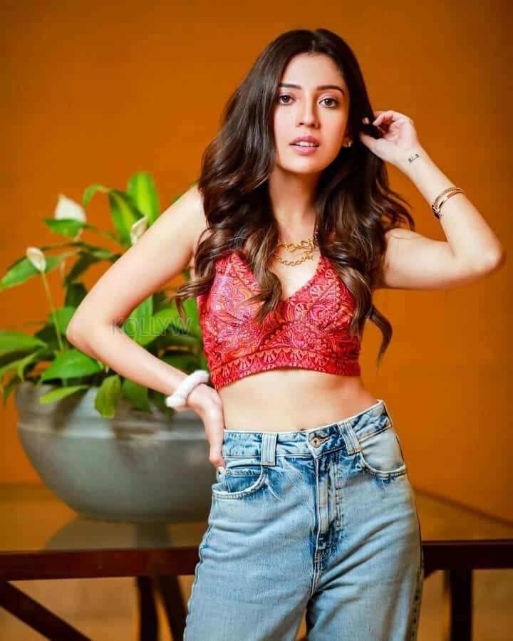 36 Farmhouse Actress Barkha Singh Photoshoot Stills 22
