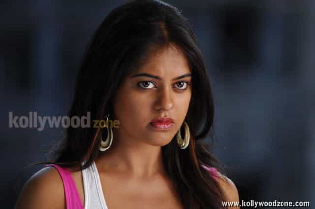 Actress Bindhu Madhavi Hot Photos