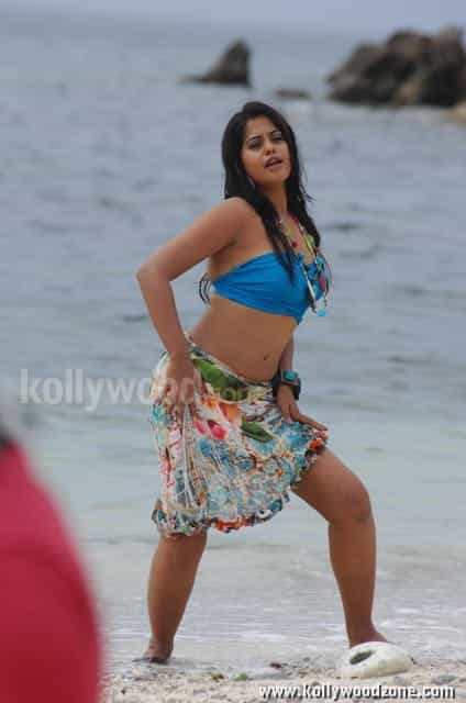 Actress Bindhu Madhavi Hot Photos