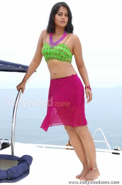 Actress Bindhu Madhavi Hot Photos