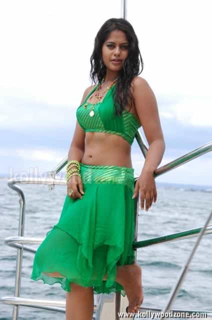 Actress Bindhu Madhavi Hot Photos