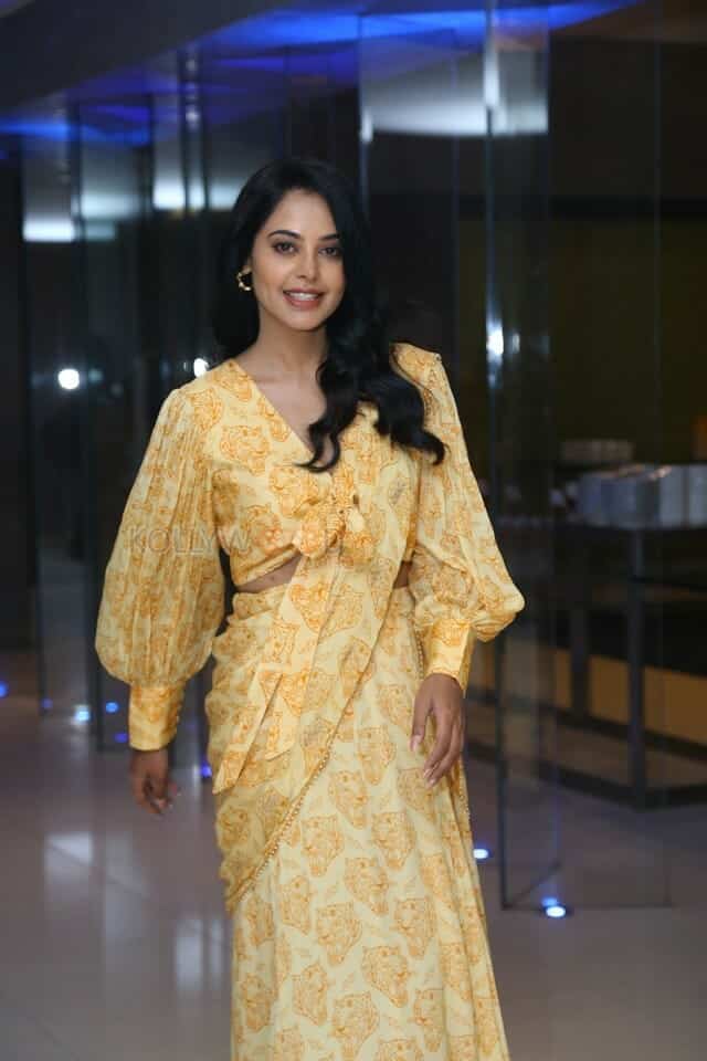 Actress Bindu Madhavi at Anger Tales Pre Release Event Pictures 14