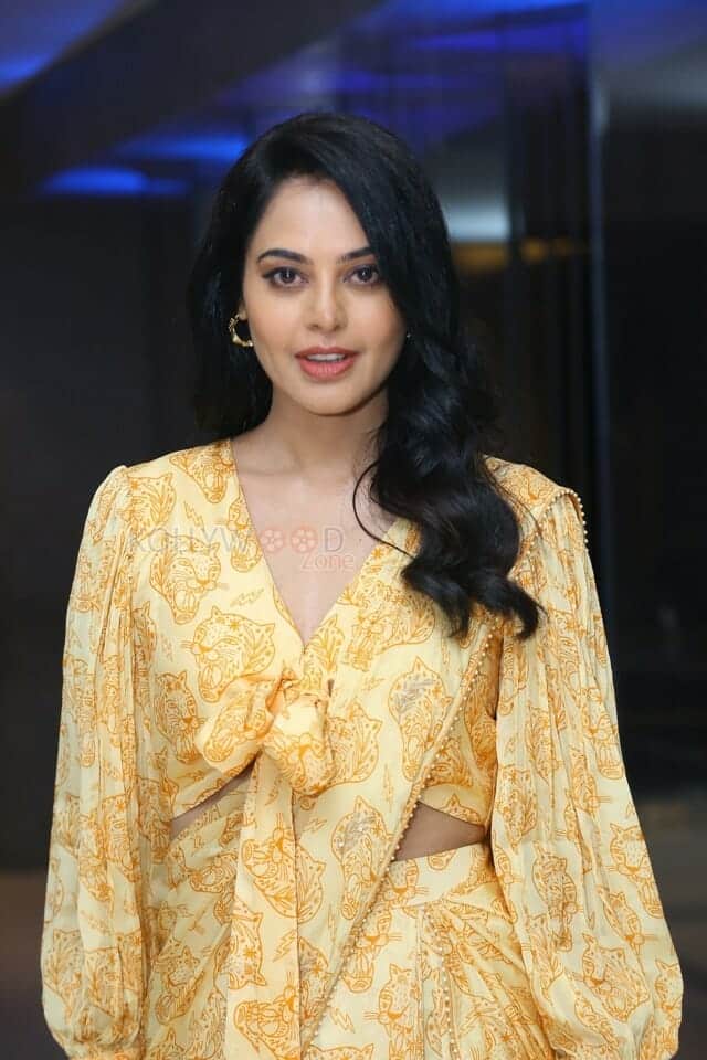 Actress Bindu Madhavi at Anger Tales Pre Release Event Pictures 15