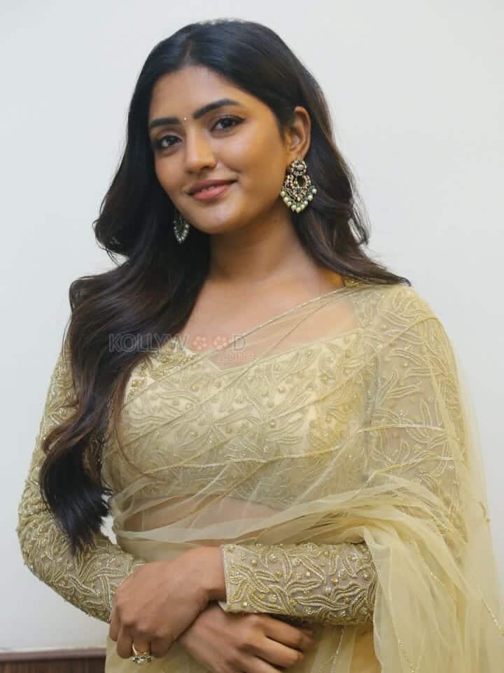 Actress Eesha Rebba at Maama Mascheendra Pre Release Event Pictures 10