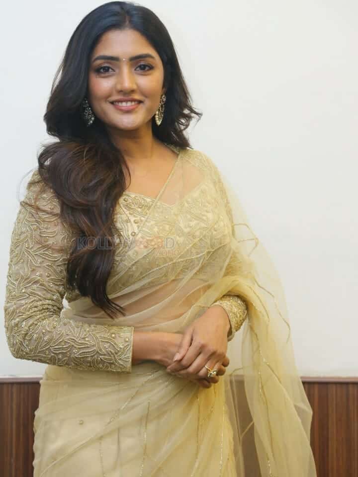 Actress Eesha Rebba at Maama Mascheendra Pre Release Event Pictures 17