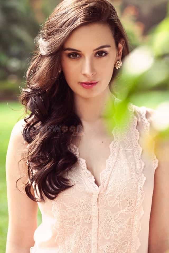 Actress Evelyn Sharma New Photos