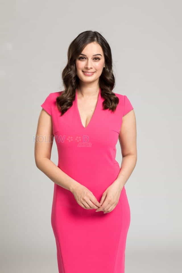 Actress Evelyn Sharma New Photos