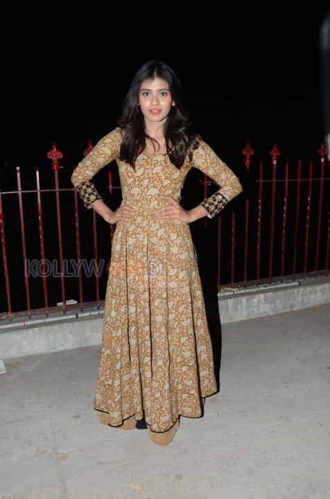 Actress Hebah Patel Sexy Stills