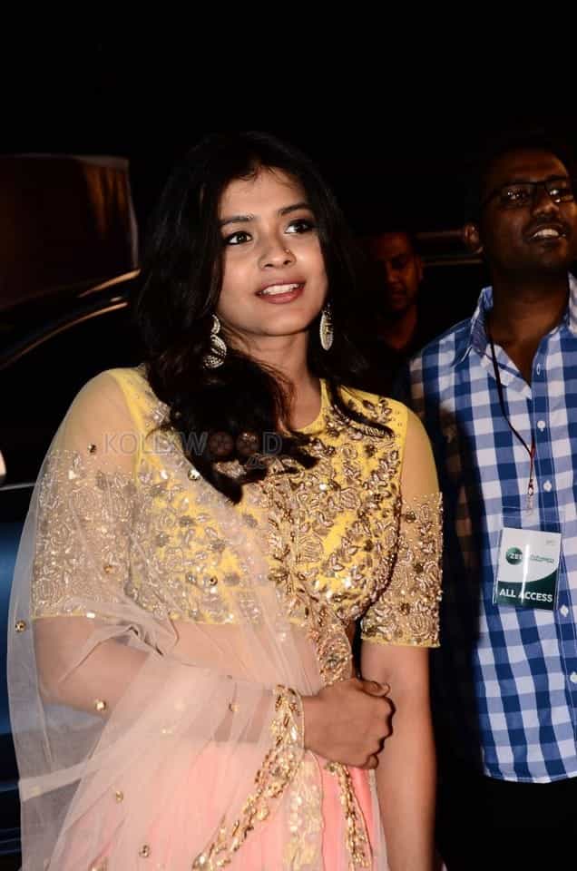 Actress Hebha Patel At Zee Apsara Awards Photos