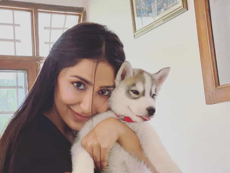 Actress Kapilakshi Malhotra Lockdown Photos