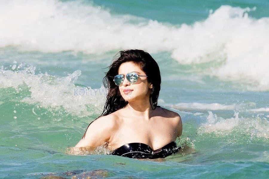 Actress Priyanka Chopra Birthday Special Photos