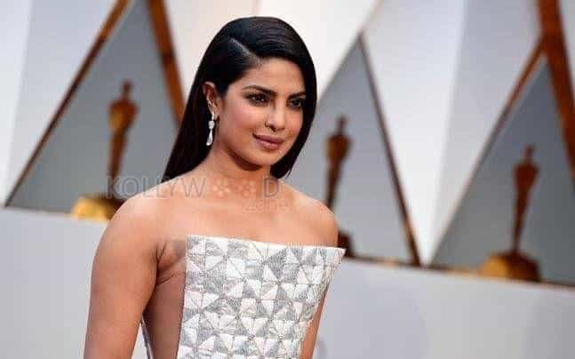 Actress Priyanka Chopra Hot Sexy Pictures