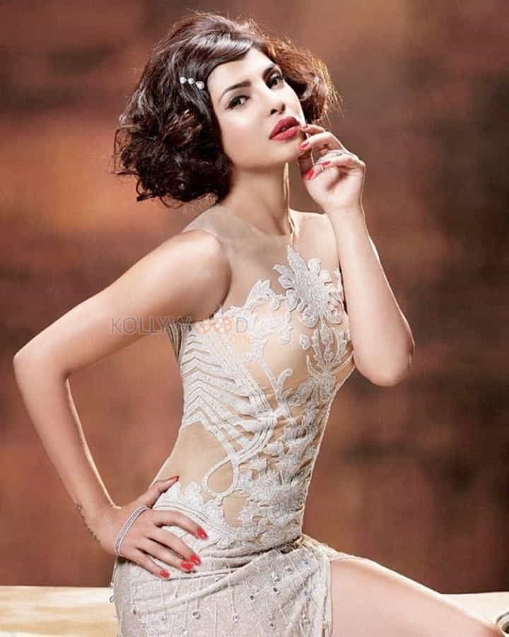 Actress Priyanka Chopra Hot Sexy Pictures