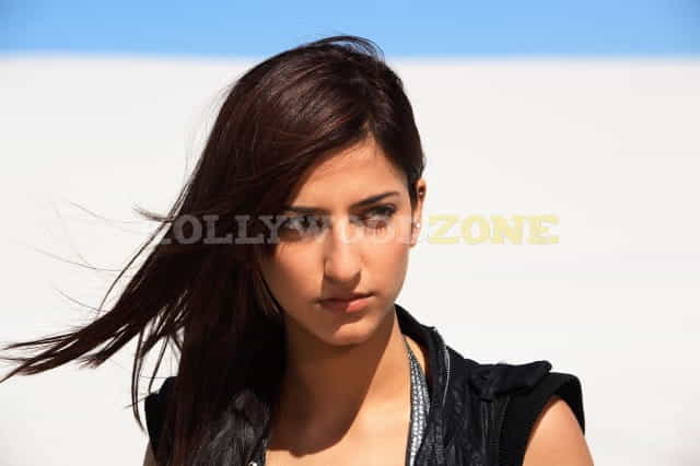 Actress Shruti Haasan Pictures