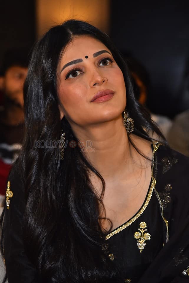 Actress Shruti Haasan at Coolie Pre Release Event Pictures 05