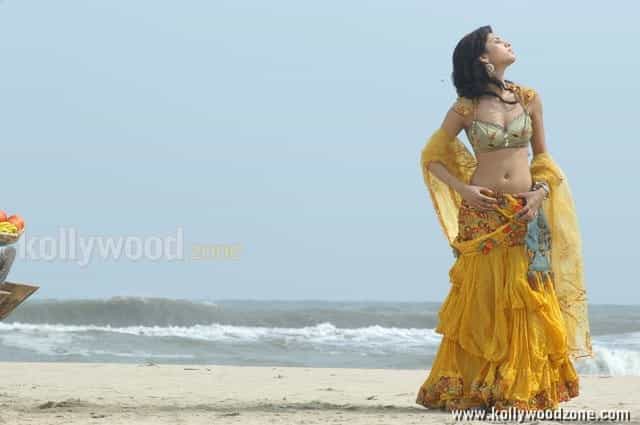 Actress Sruthi Hassan Sexy Photos