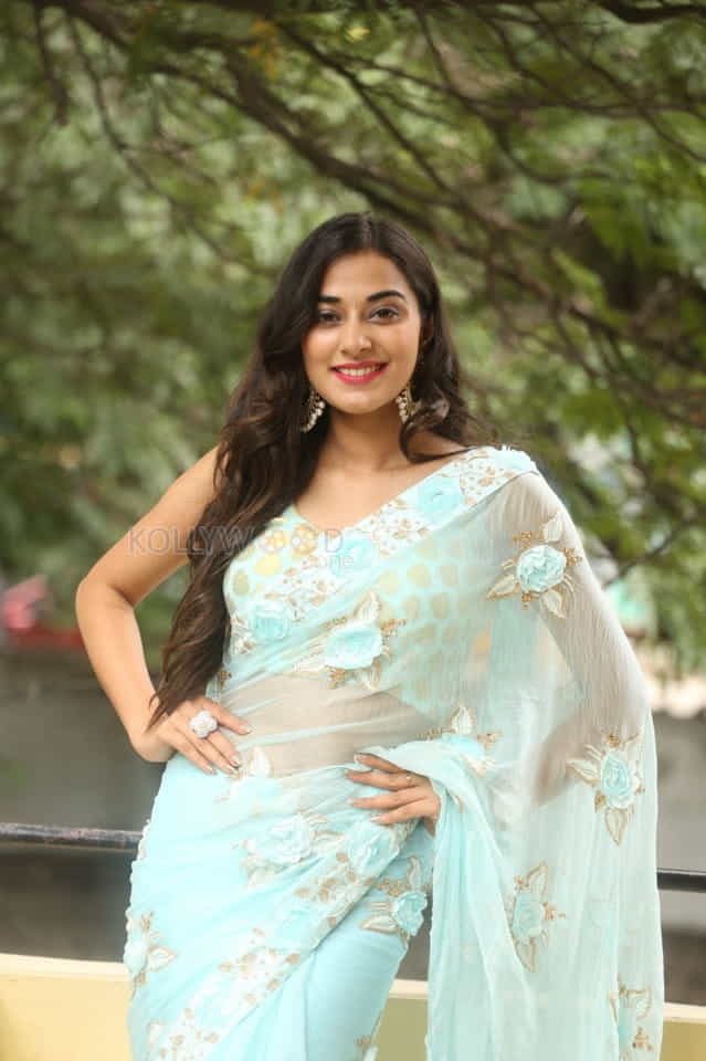 Actress Stefy Patel At Ninnu Thalachi Movie Press Meet Photos