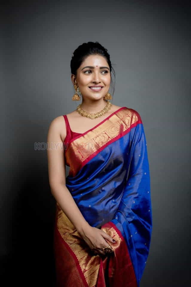 Actress Vani Bhojan Red And Blue Silk Saree Photos