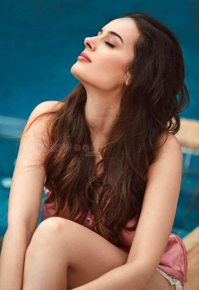 Beautiful Evelyn Sharma Photoshoot Stills 01