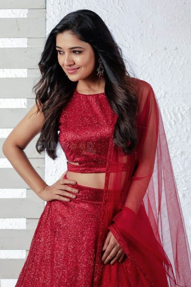 Beautiful Vani Bhojan in a Red Dress Photos 03