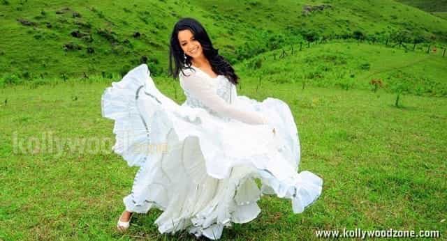 Bhavana Latest Pictures
