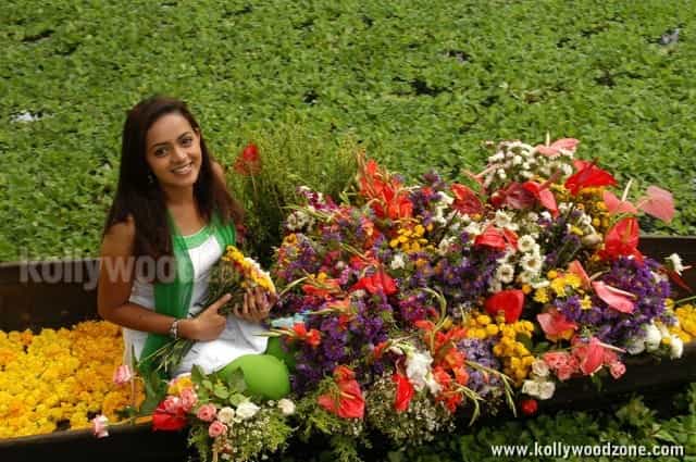 Bhavana Sexy Stills