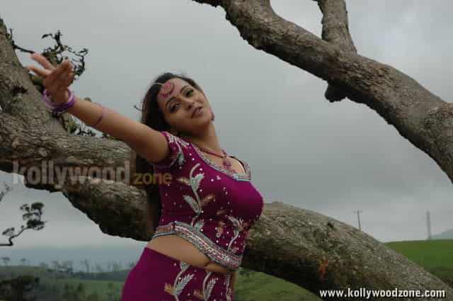 Bhavana Sexy Stills