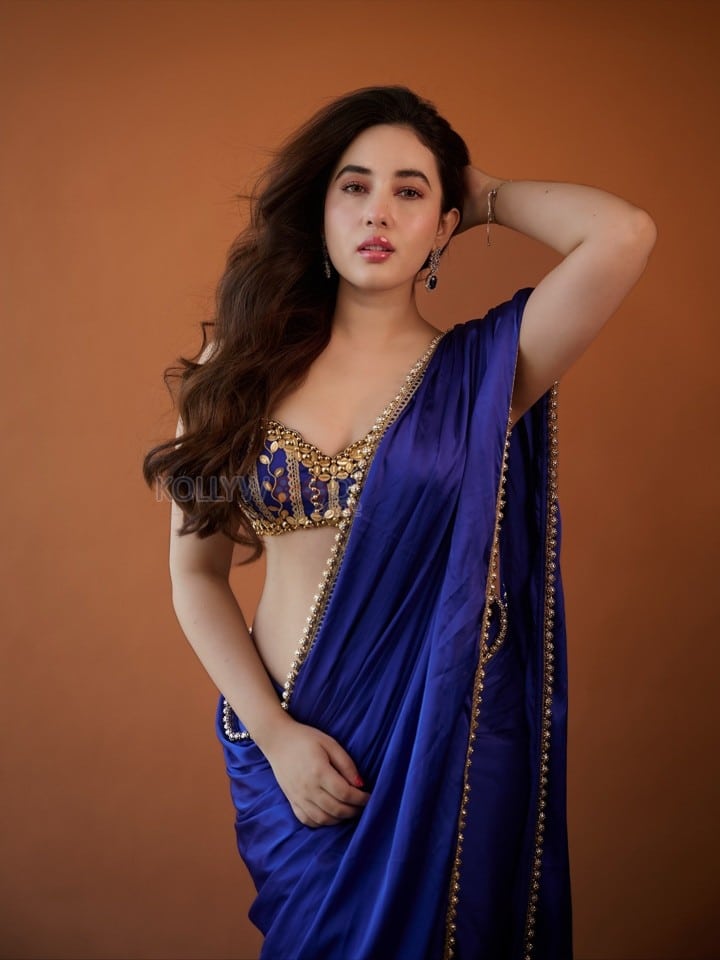 Bold Aditi Budhathoki in a Royal Blue Saree Pictures 02
