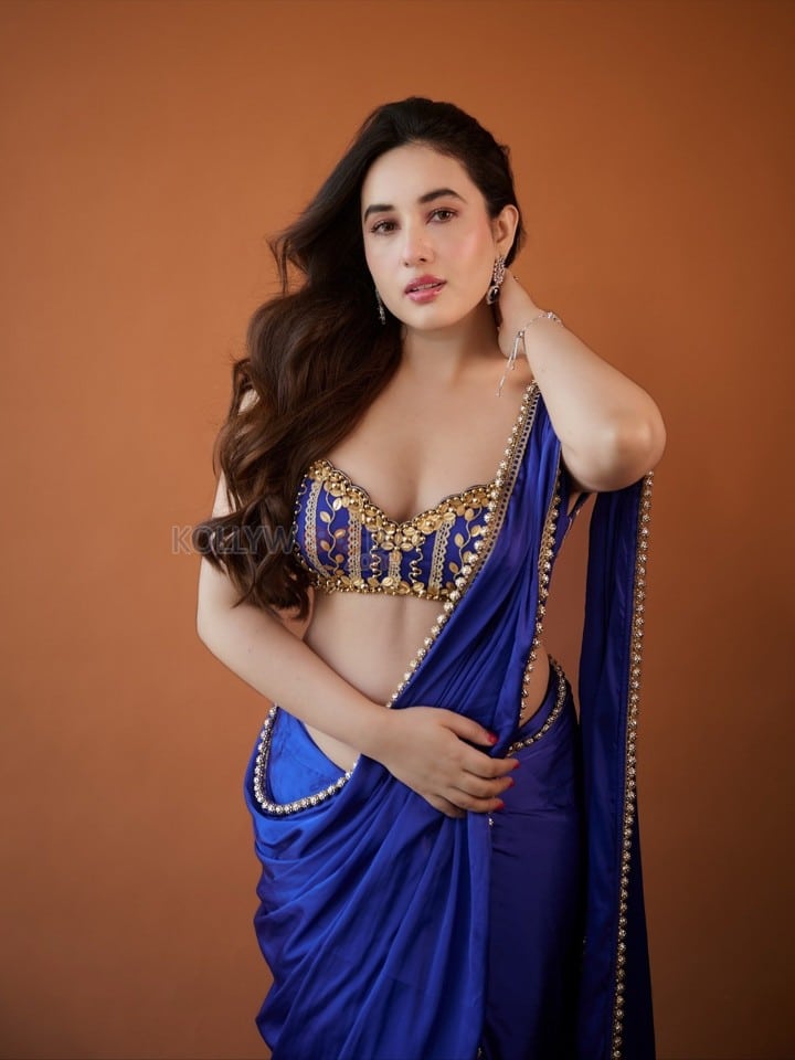 Bold Aditi Budhathoki in a Royal Blue Saree Pictures 04
