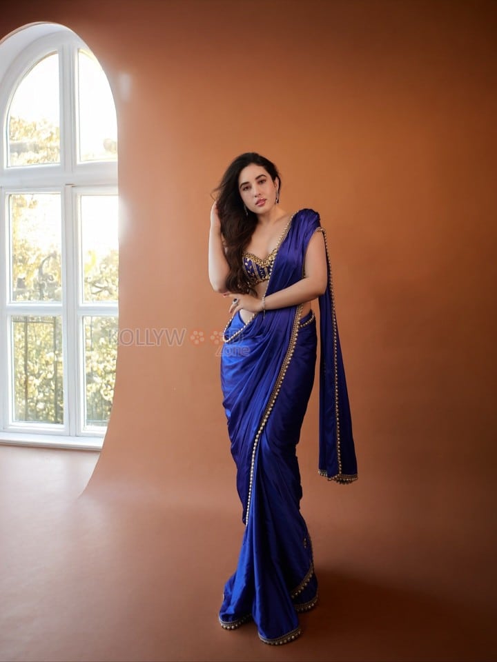 Bold Aditi Budhathoki in a Royal Blue Saree Pictures 10