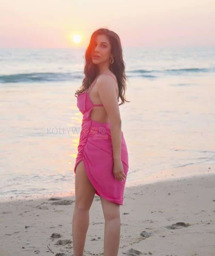 Bold Sophie Choudry in a Pink Spaghetti Strap Dress Photos 01