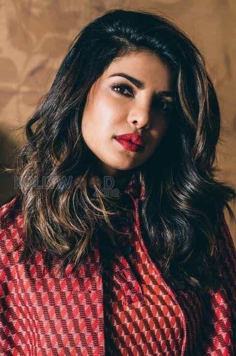 Bollywood Beauty Priyanka Chopra Photos