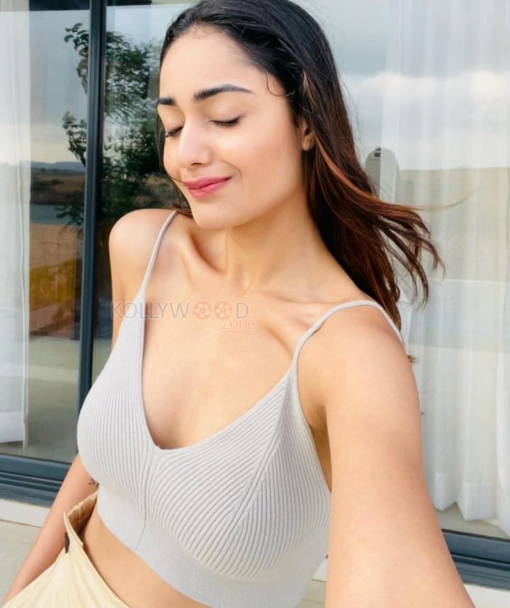 Boomerang Actress Tridha Choudhury Sexy Pictures 08