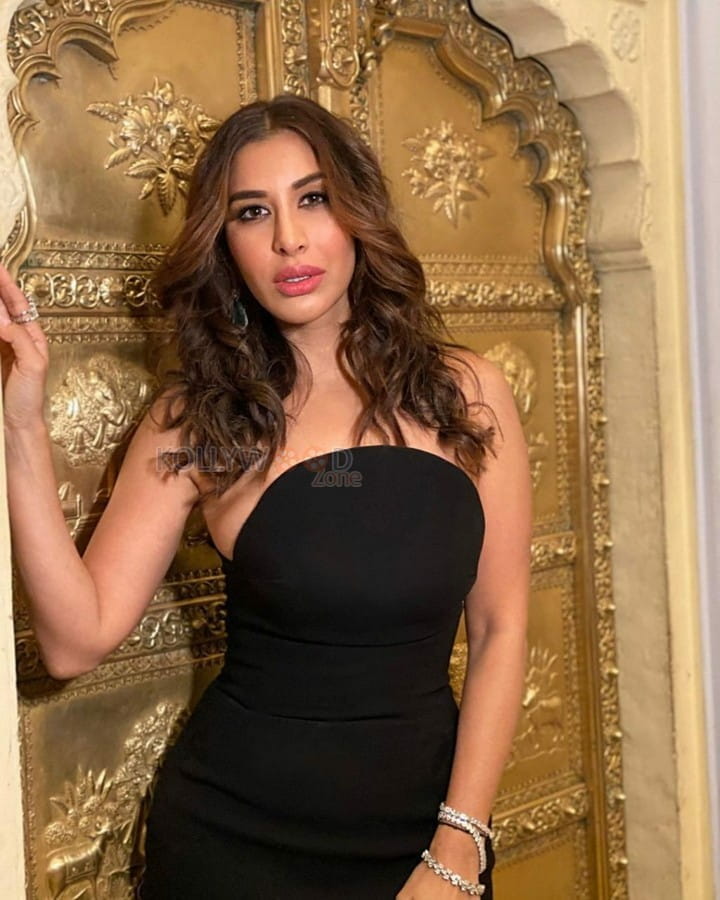 British Model Sophie Choudry Photos