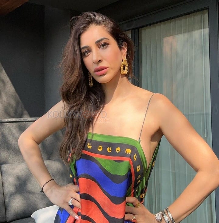 Curvy Beauty Sophie Choudry in a Colorful Printed Dress with Bare V Neck Back Dress Pictures 01