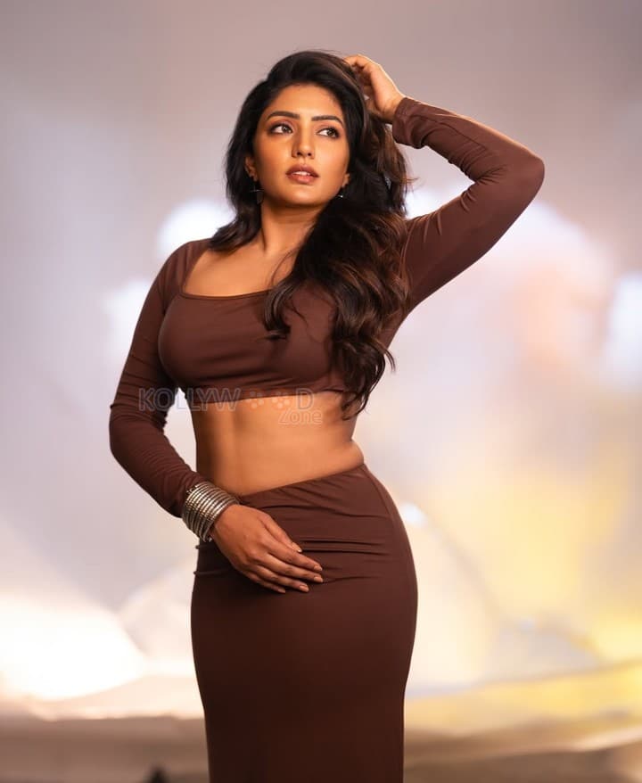 Dusky Beauty Eesha Rebba in a Stylish Brown Two Piece Dress Photos 02