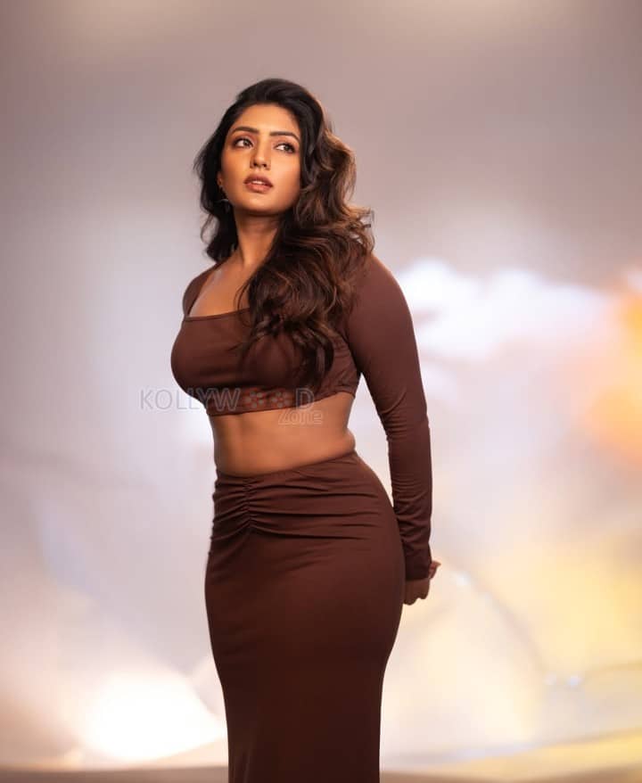 Dusky Beauty Eesha Rebba in a Stylish Brown Two Piece Dress Photos 03