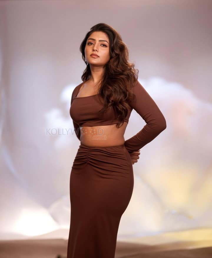 Dusky Beauty Eesha Rebba in a Stylish Brown Two Piece Dress Photos 04