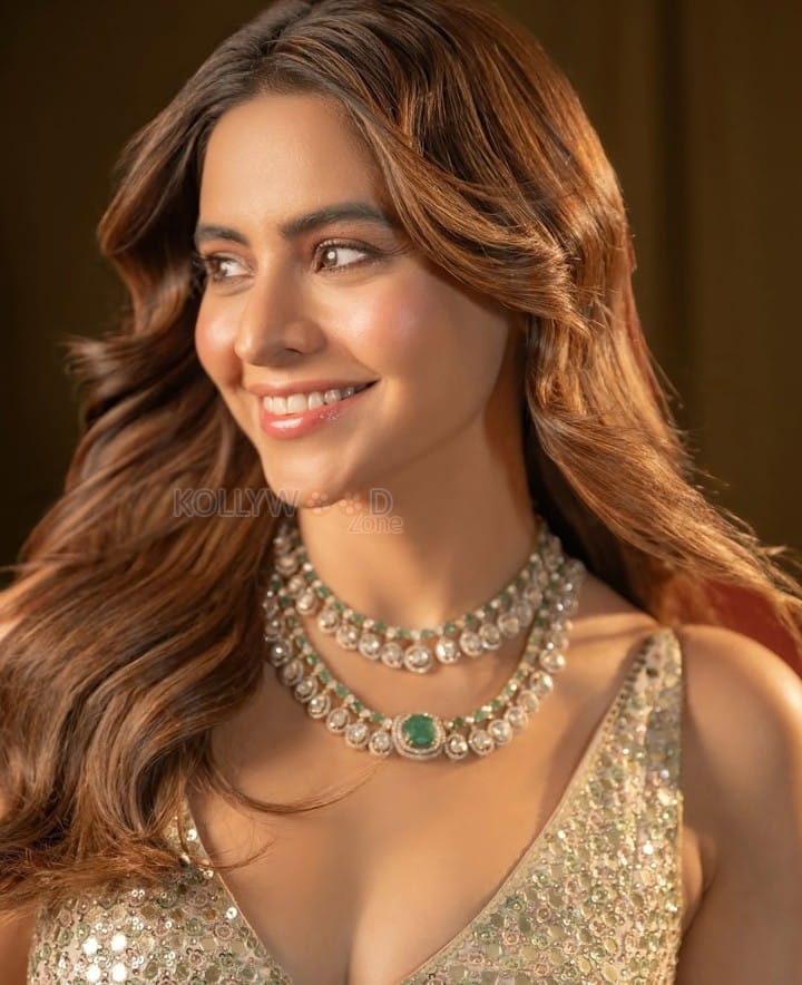 Gorgeous Aamna Sharif in a Brown Backless Dress Photos 05