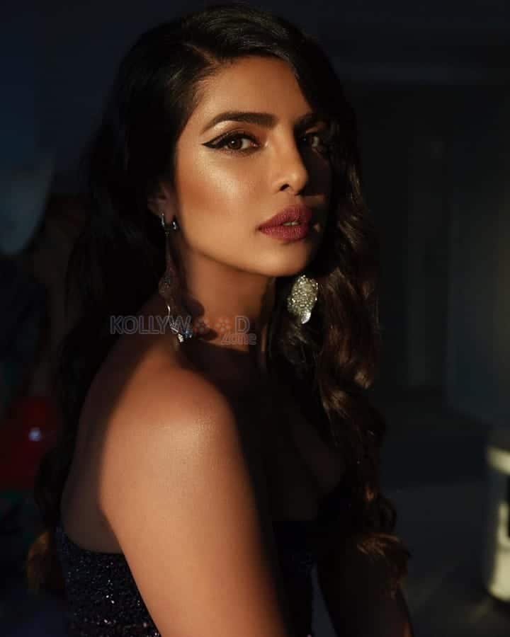 Hollywood Actress Priyanka Chopra Photos 02