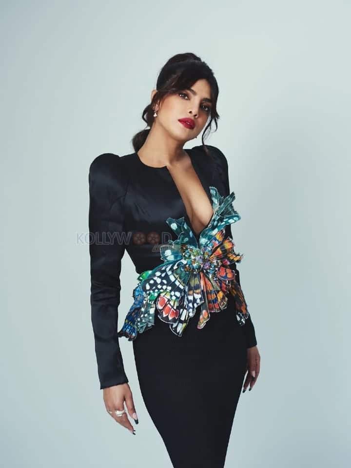 Hollywood Actress Priyanka Chopra Photos 03