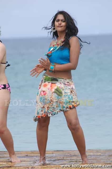 Hot Bindhu Madhavi Sexy Pics