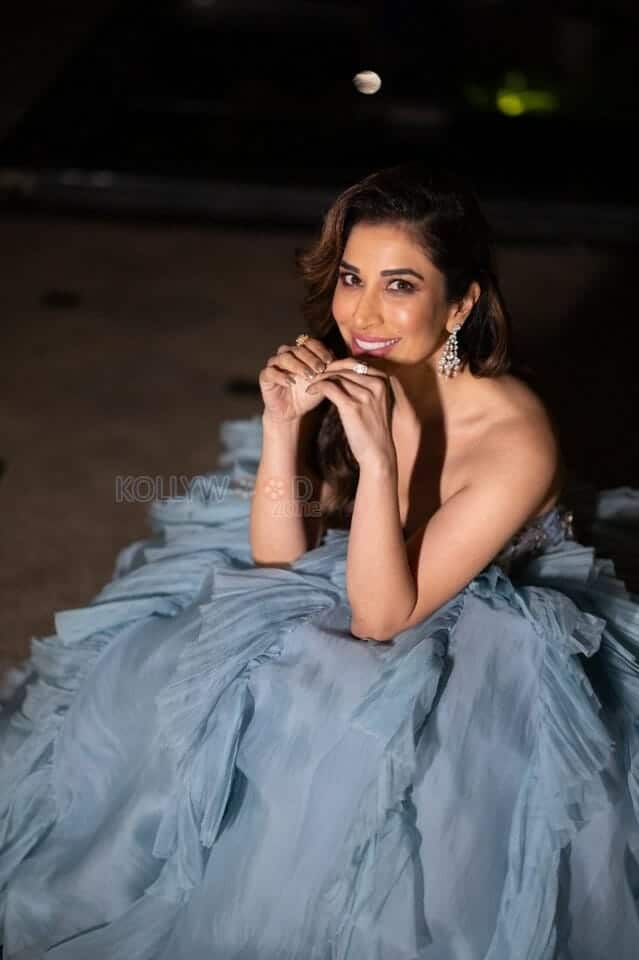 Hot Sophie Choudry in a Gray Gown Photos 04