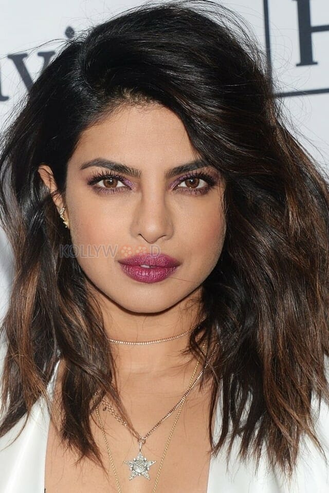 Indian American Actress Priyanka Chopra Sexy Photos 17