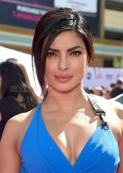 Indian American Actress Priyanka Chopra Sexy Photos 26