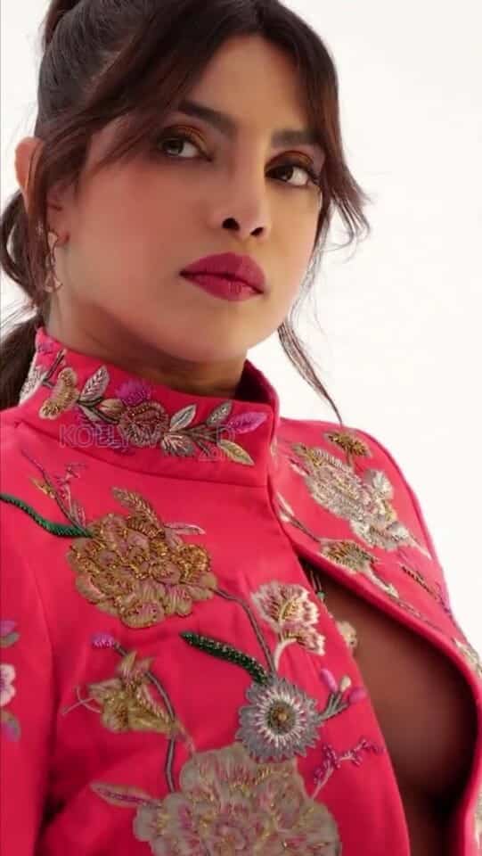 Indian American Actress Priyanka Chopra Sexy Photos 34