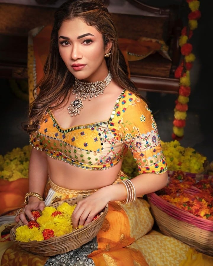 Indian Television Actress Ridhima Pandit in a Traditional Lehenga Choli Photos 02