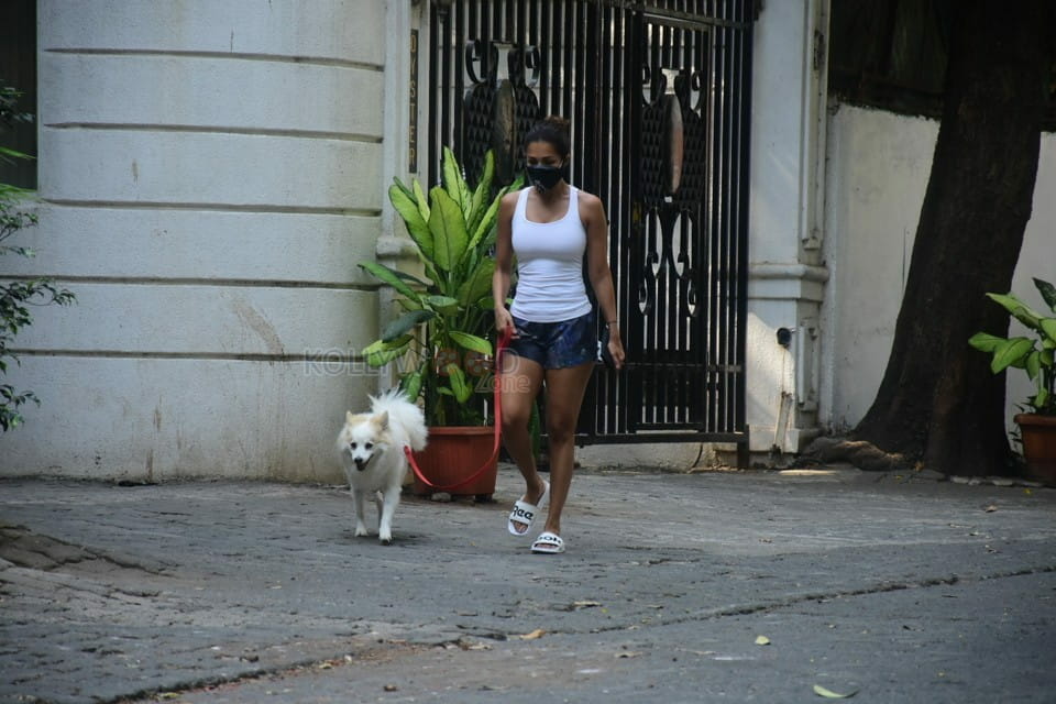 Malaika Arora spotted dog walking at Bandra pics