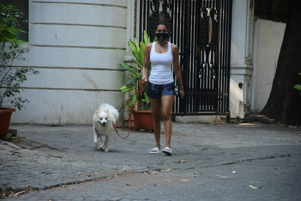 Malaika Arora spotted dog walking at Bandra pics