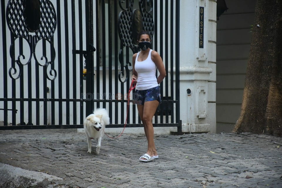 Malaika Arora spotted dog walking at Bandra pics